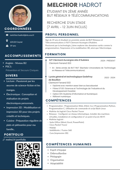 Aperçu du CV